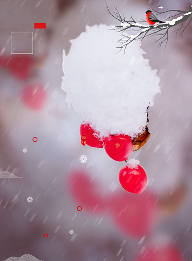 简约大气冬季大雪节气海报背景