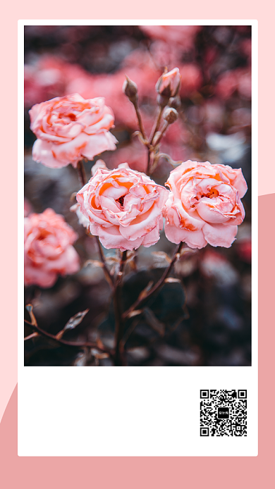 每日一签大气简约海报背景