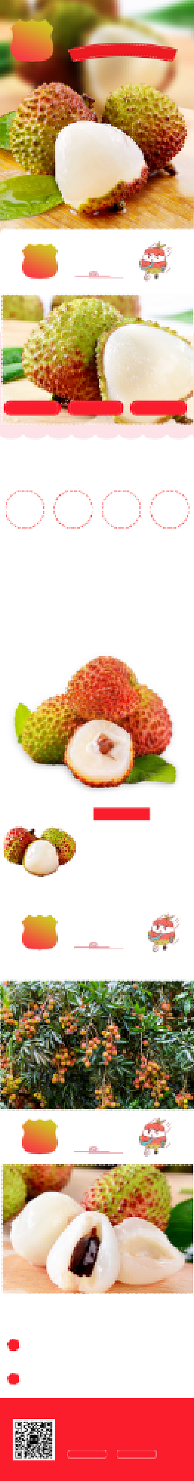 清新海南妃子笑荔枝详情页背景