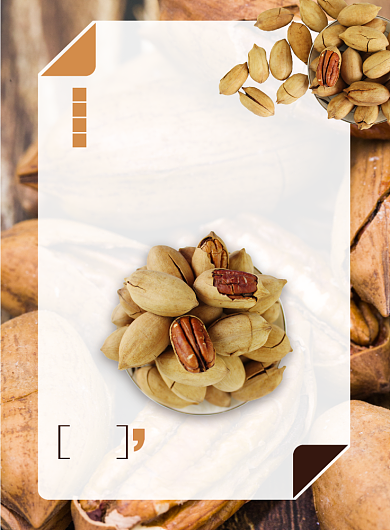 黄色杂志风餐饮美食干果碧根果印刷海报背景