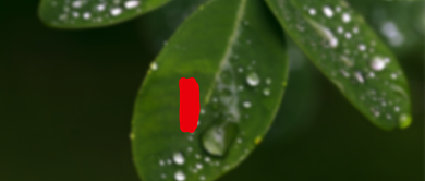 绿色二十四节气之大暑公众号首图背景