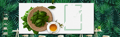 自然植物背景茶道促销淘宝banner背景