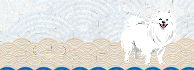 狗粮大促销淘宝banner背景