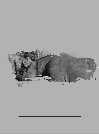 保护野生动物公益印刷海报模板背景