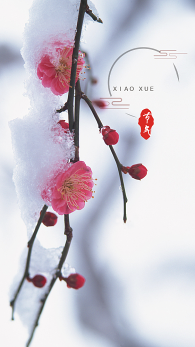 简洁小雪节气手机海报背景