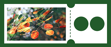 简约秋分节气公众号首图背景