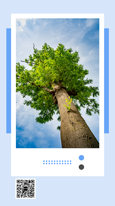每日一签大气海报背景
