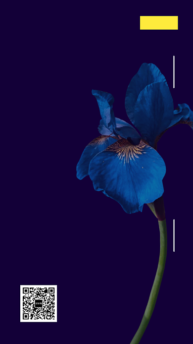 紫色时尚简约邀请函手机海报背景