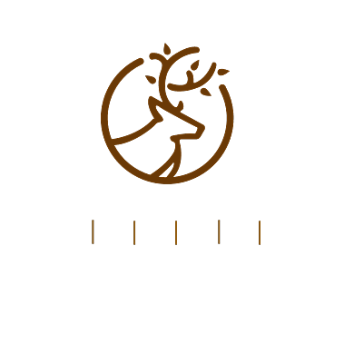 动物类通用logo设计背景