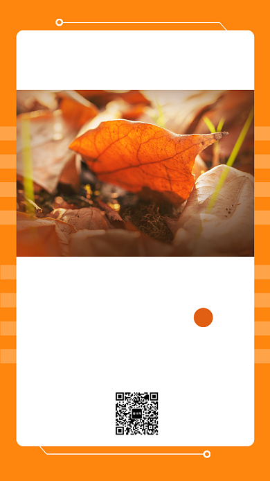 简约风小清新纯色日签月签海报背景