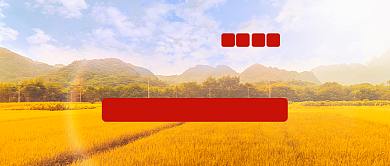 世界粮食日公众号首图背景