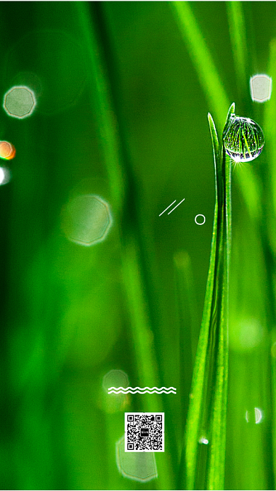 白露绿色露珠清新手机海报背景