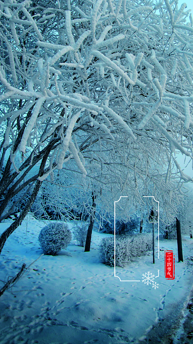蓝色杂志风节气小寒手机海报背景