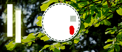 创意中国传统小暑节气微信公众号素材图片背景