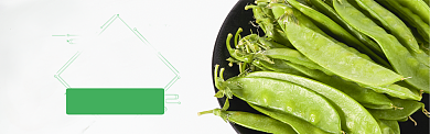 绿色水果蔬菜荷兰豆促销banner背景