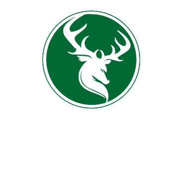 动物标志logo设计背景