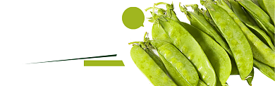 绿色水果蔬菜荷兰豆促销banner背景