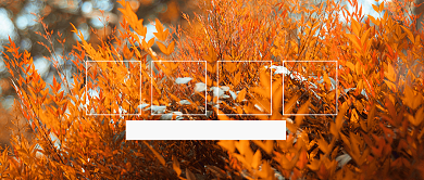 黄色金秋秋分时节公众号首图背景