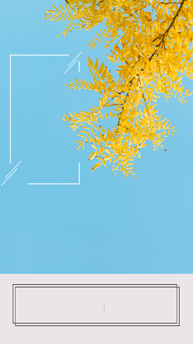 简约实景风秋分节气宣传海报背景