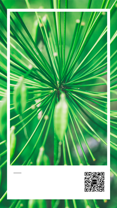 你好7月每日一签海报背景