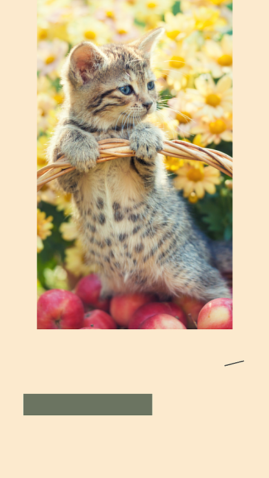 简约摄影小清新早安问候日签月签手机海报背景