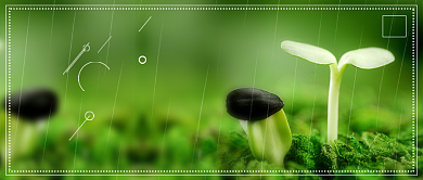 小清新5月公众号首图背景