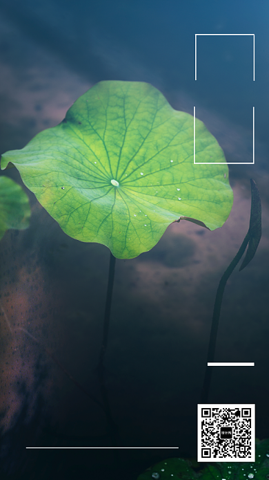 早安努力日签手机海报背景