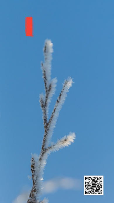 摄影风简约小雪传统节气手机海报背景