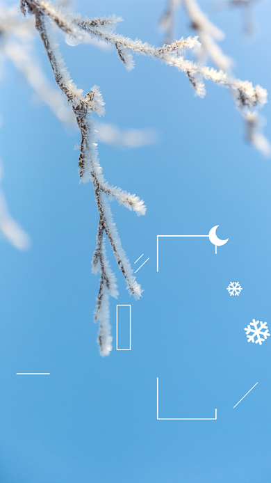 蓝色简约24节气传统霜降节气宣传海报背景