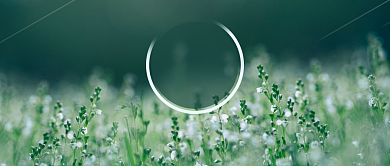 谷雨节气小花公众号首图背景