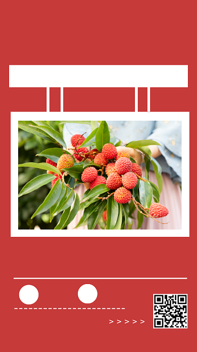 手机日签海报背景