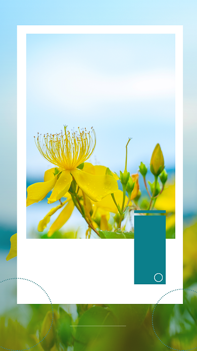 清新早安日签问候宣传海报背景