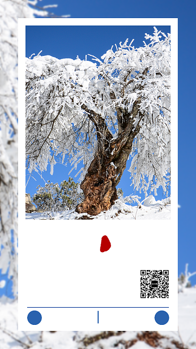 摄影图节气小雪手机海报背景