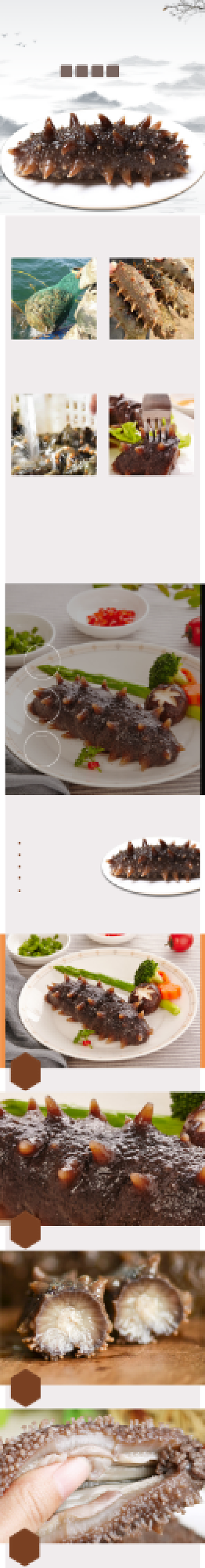 清新野生海参滋补食品详情页背景