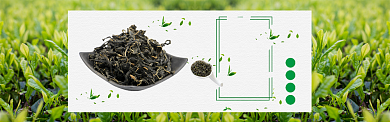 绿色自然茶叶促销banner背景
