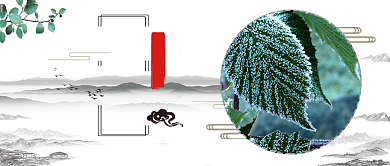 寒露节气公众号首图背景