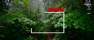 绿色二十四节气之大暑公众号首图背景