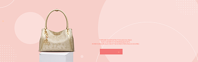 箱包女包手提包时尚奢华新品banner背景