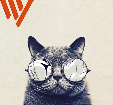 猫咪酷时尚就是任性朋友圈封面背景