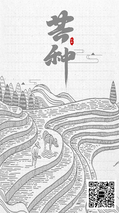 芒种灰白配色传统节气海报背景