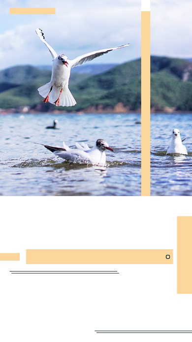 旅行日签简约时尚创意手机海报背景