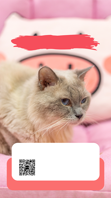 粉色宠物销售促销宣传手机海报背景