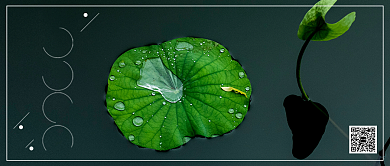 你好七月月签公众号首图背景