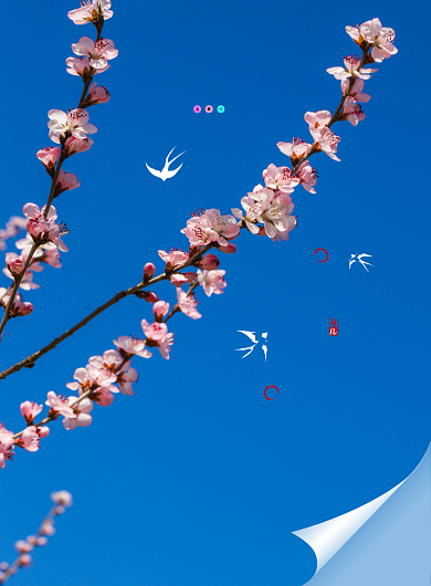 简约大气立春海报背景
