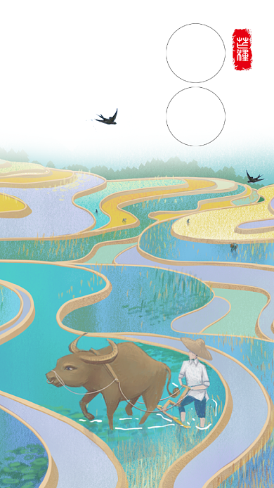 灰色传统插画芒种时节手机海报背景