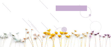 四月你好清新小花公众号首图背景