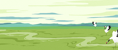 插画简约风世界湿地日公众号首图背景