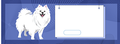 精品狗粮专场淘宝banner背景