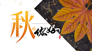 白色简约节气手机横图海报背景