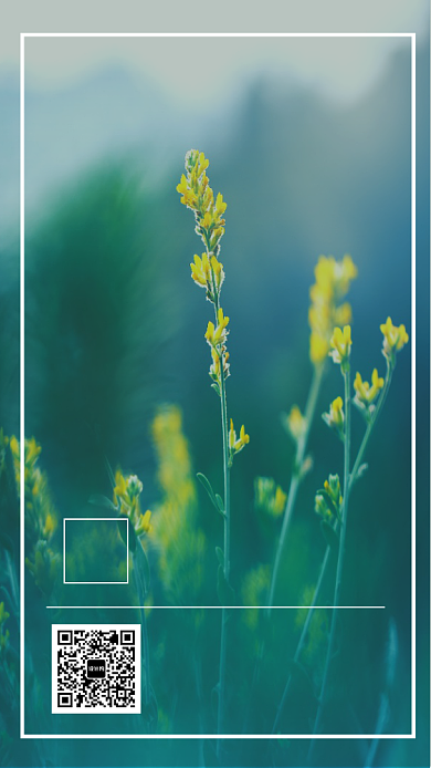 每日一签心灵鸡汤手机海报背景